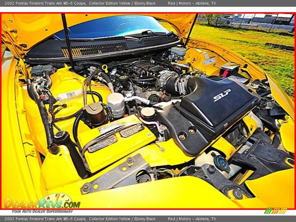 2002 Pontiac Firebird Trans Am WS-6 Coupe Collector Edition Yellow / Ebony Black Photo #16