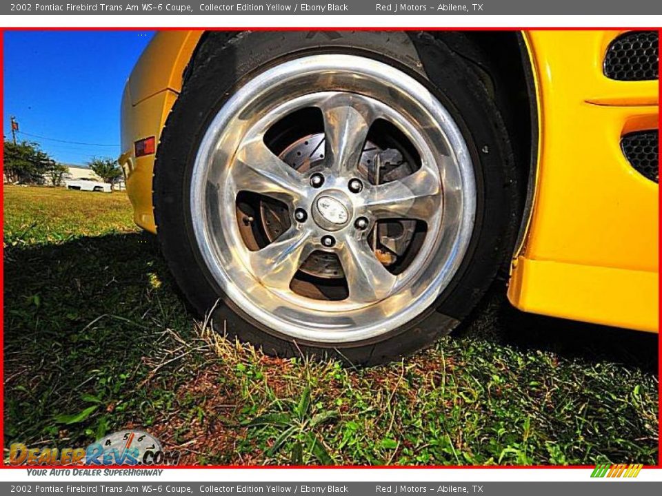2002 Pontiac Firebird Trans Am WS-6 Coupe Collector Edition Yellow / Ebony Black Photo #19