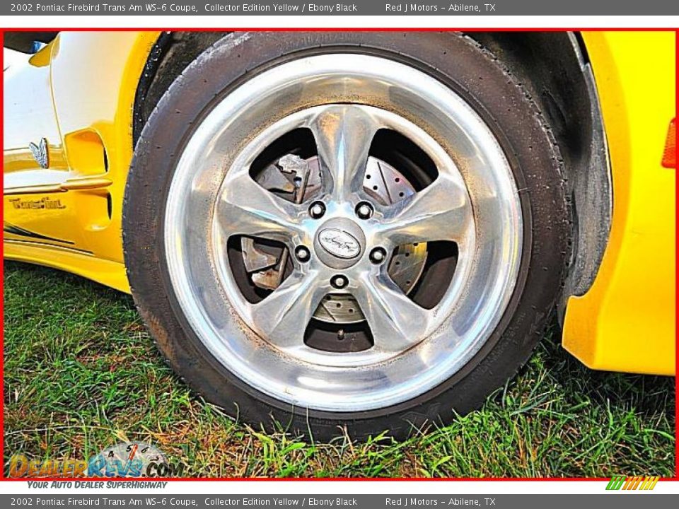 2002 Pontiac Firebird Trans Am WS-6 Coupe Collector Edition Yellow / Ebony Black Photo #22