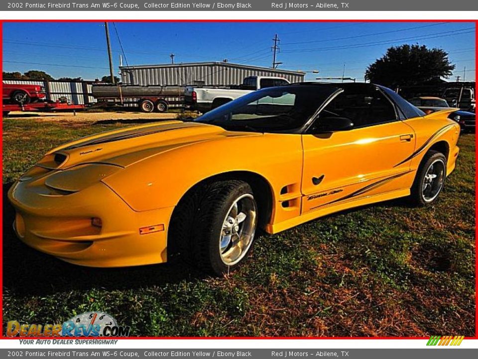 2002 Pontiac Firebird Trans Am WS-6 Coupe Collector Edition Yellow / Ebony Black Photo #23