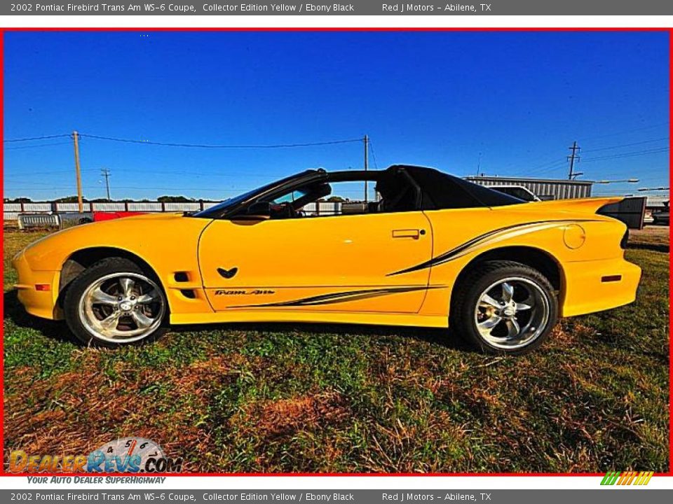 2002 Pontiac Firebird Trans Am WS-6 Coupe Collector Edition Yellow / Ebony Black Photo #24
