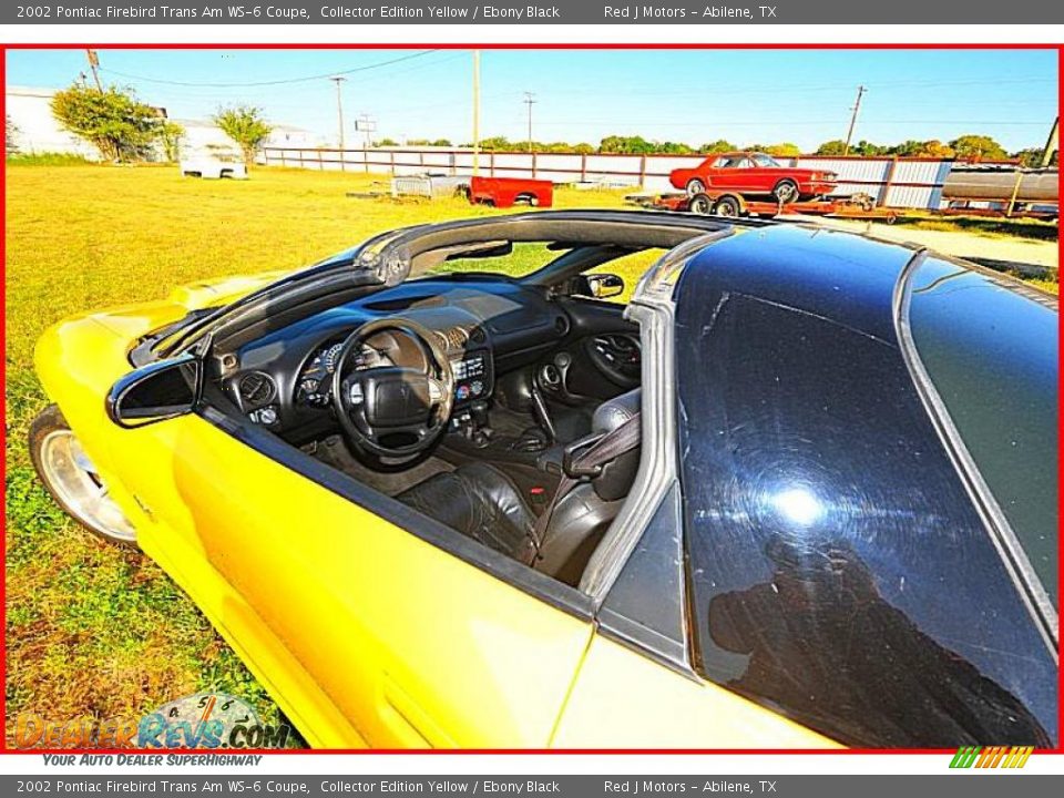 2002 Pontiac Firebird Trans Am WS-6 Coupe Collector Edition Yellow / Ebony Black Photo #25