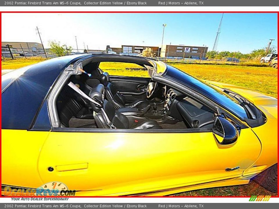 2002 Pontiac Firebird Trans Am WS-6 Coupe Collector Edition Yellow / Ebony Black Photo #28