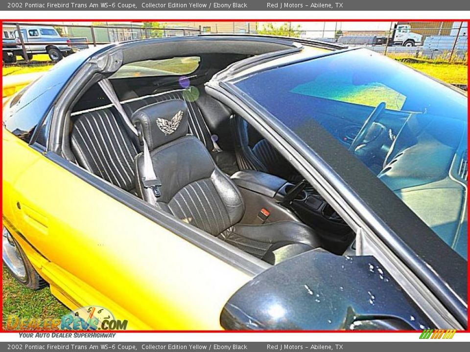 2002 Pontiac Firebird Trans Am WS-6 Coupe Collector Edition Yellow / Ebony Black Photo #29