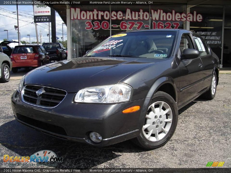 2001 Nissan Maxima GXE Gray Lustre Metallic / Frost Photo #1