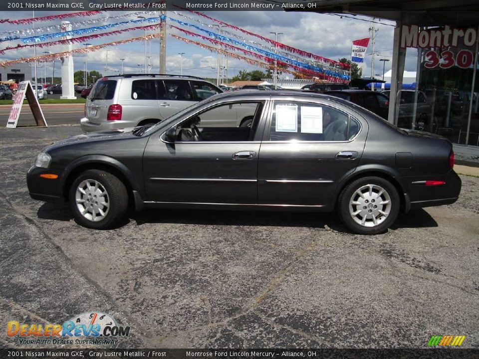2001 Nissan Maxima GXE Gray Lustre Metallic / Frost Photo #2
