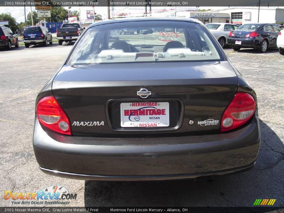 2001 Nissan Maxima GXE Gray Lustre Metallic / Frost Photo #4
