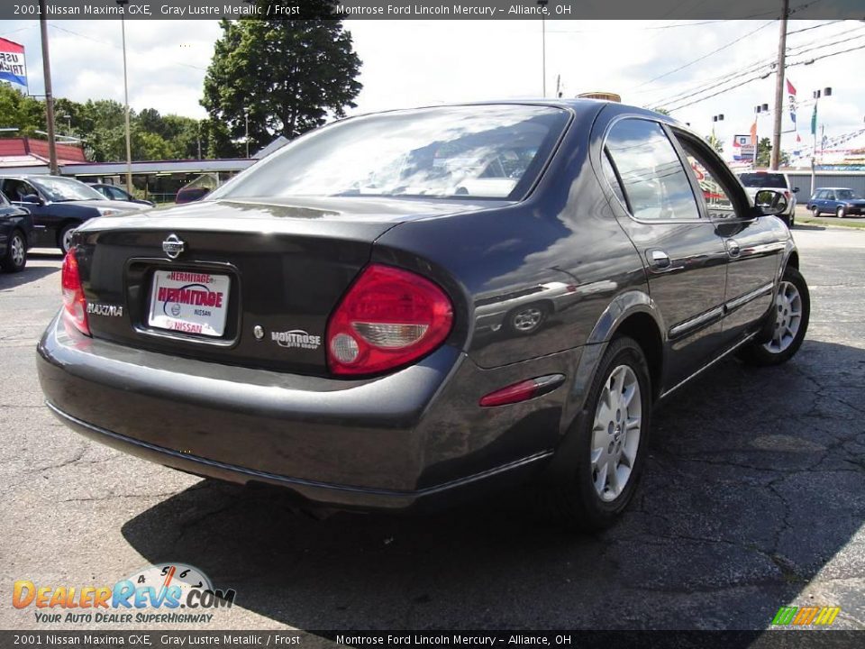 2001 Nissan Maxima GXE Gray Lustre Metallic / Frost Photo #5