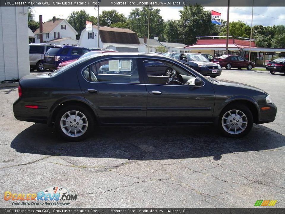 2001 Nissan Maxima GXE Gray Lustre Metallic / Frost Photo #6