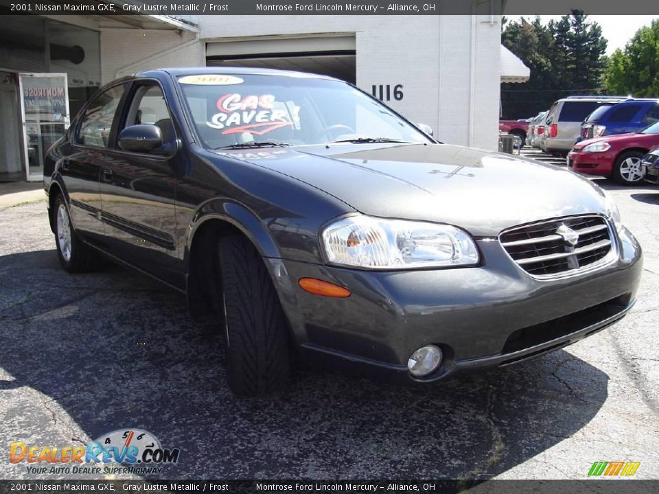2001 Nissan Maxima GXE Gray Lustre Metallic / Frost Photo #7