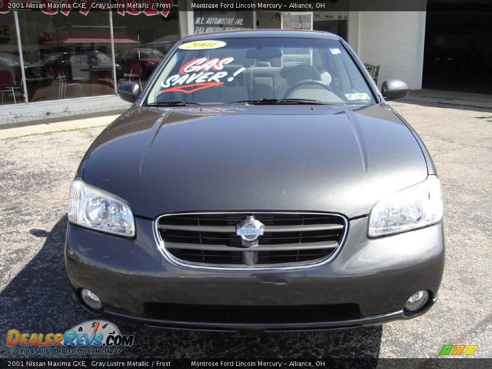 2001 Nissan Maxima GXE Gray Lustre Metallic / Frost Photo #8