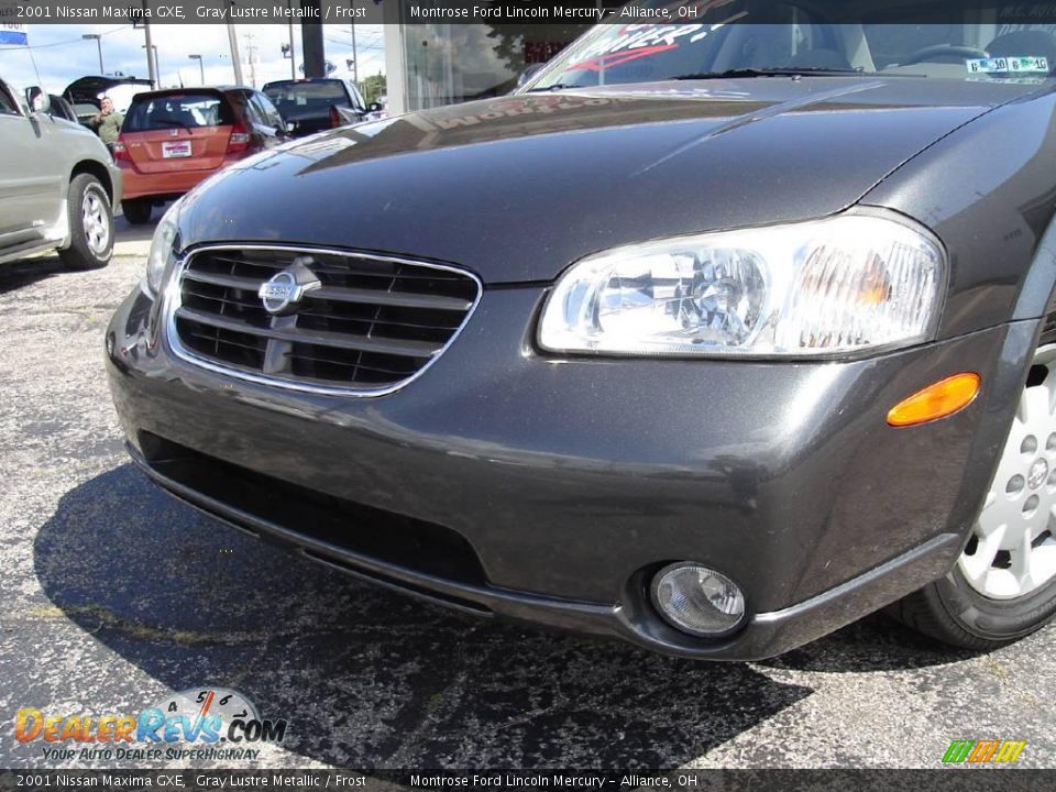 2001 Nissan Maxima GXE Gray Lustre Metallic / Frost Photo #9