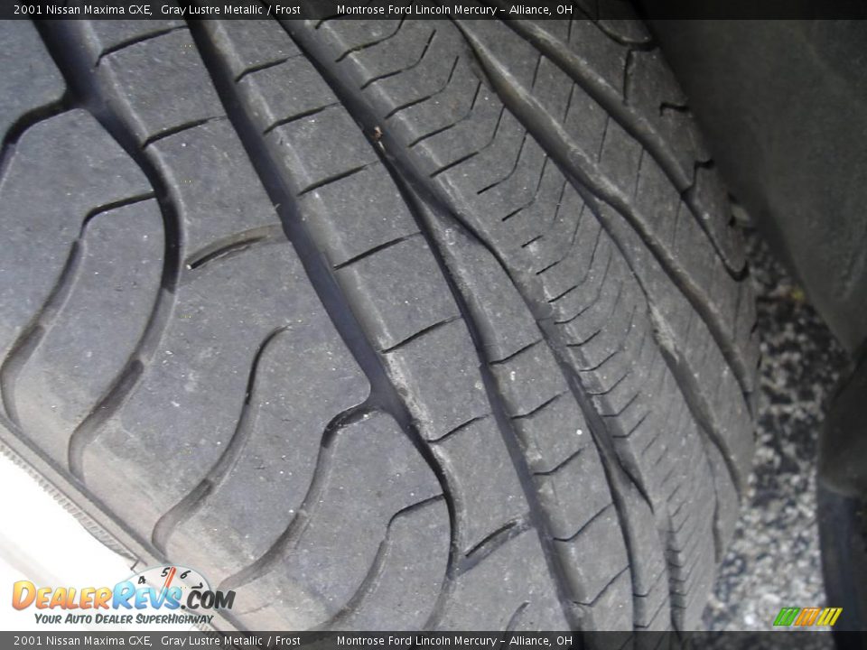 2001 Nissan Maxima GXE Gray Lustre Metallic / Frost Photo #10
