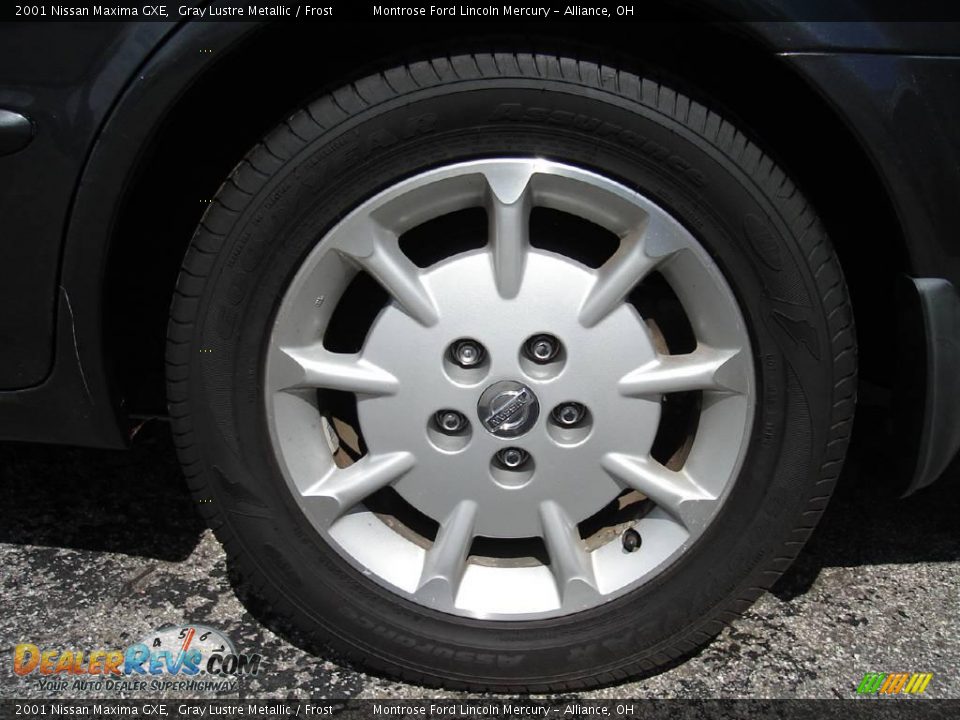 2001 Nissan Maxima GXE Gray Lustre Metallic / Frost Photo #11