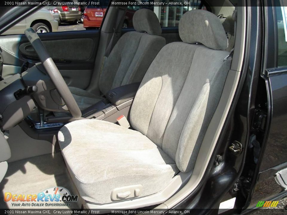 2001 Nissan Maxima GXE Gray Lustre Metallic / Frost Photo #12