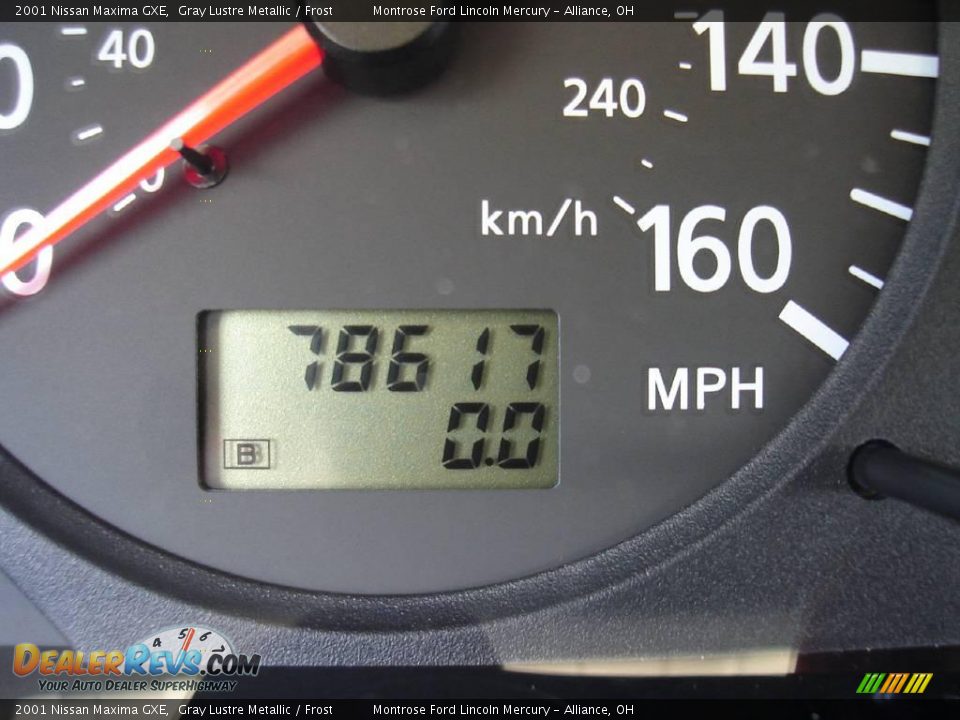 2001 Nissan Maxima GXE Gray Lustre Metallic / Frost Photo #24