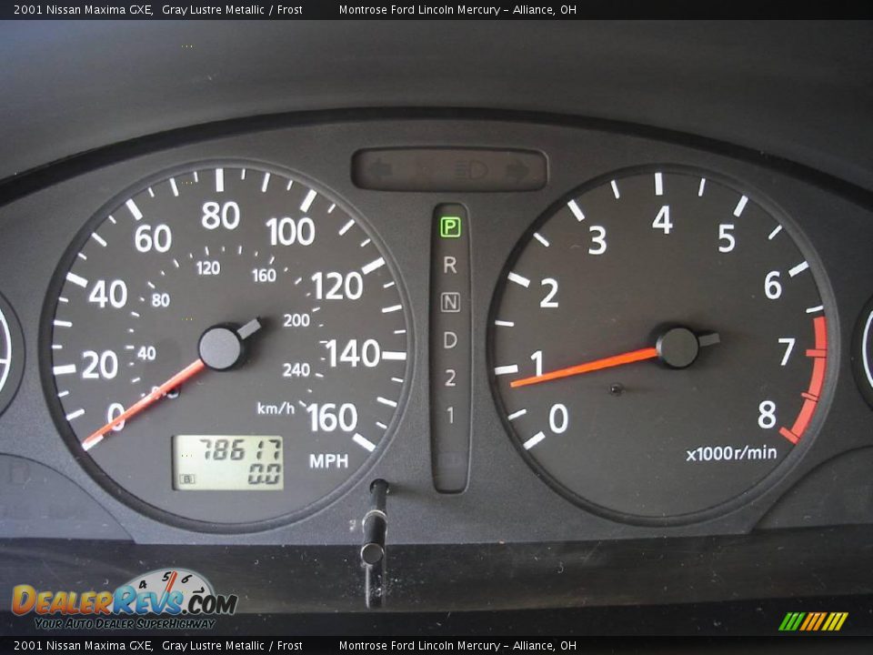 2001 Nissan Maxima GXE Gray Lustre Metallic / Frost Photo #25