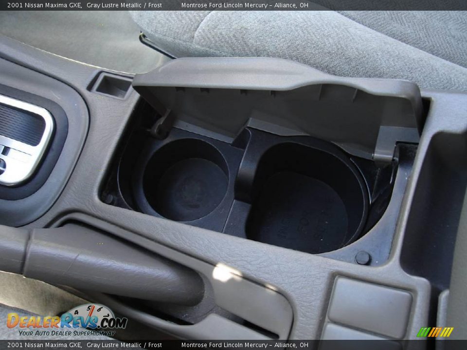 2001 Nissan Maxima GXE Gray Lustre Metallic / Frost Photo #29