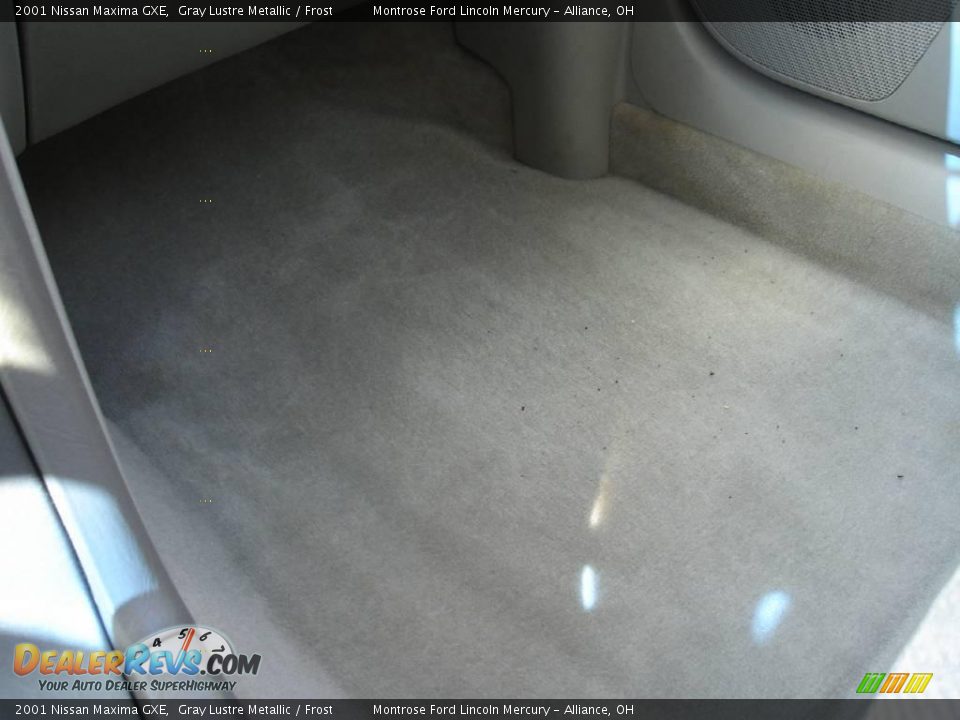 2001 Nissan Maxima GXE Gray Lustre Metallic / Frost Photo #30