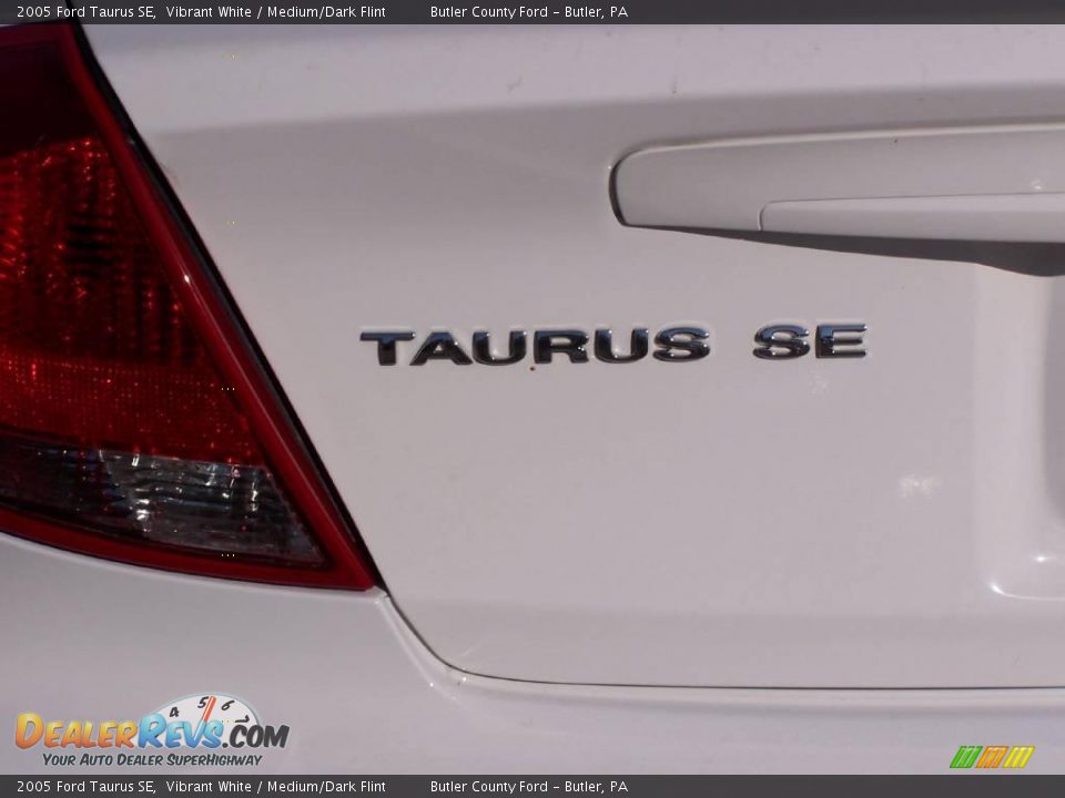 2005 Ford Taurus SE Vibrant White / Medium/Dark Flint Photo #10