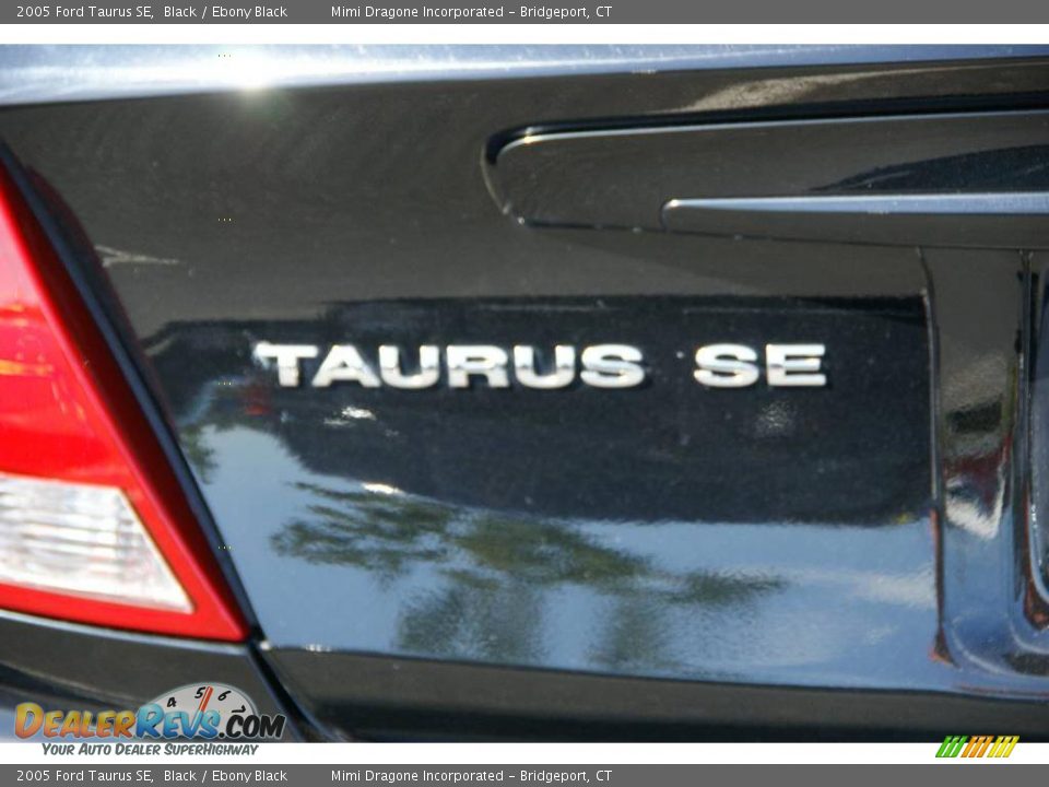 2005 Ford Taurus SE Black / Ebony Black Photo #6