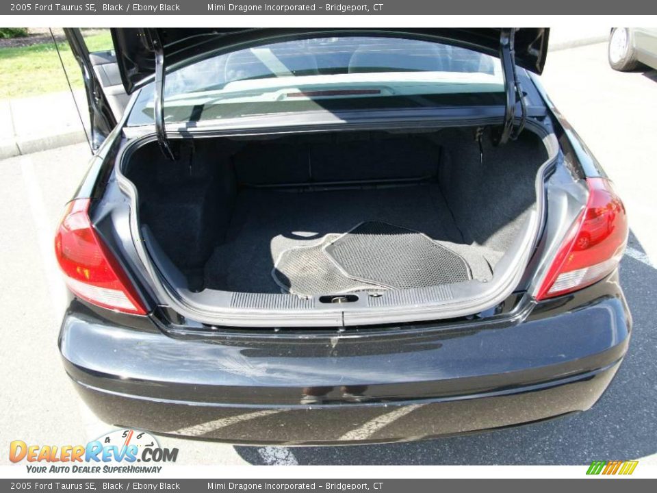2005 Ford Taurus SE Black / Ebony Black Photo #9