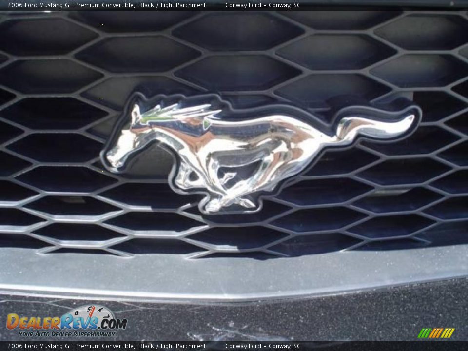 2006 Ford Mustang GT Premium Convertible Black / Light Parchment Photo #12