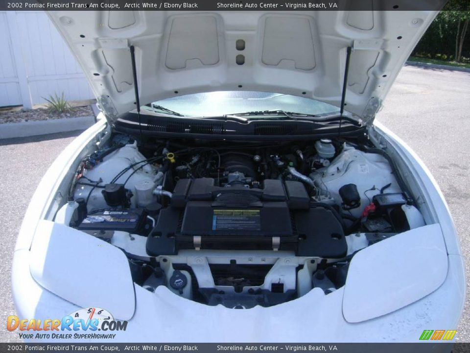 2002 Pontiac Firebird Trans Am Coupe Arctic White / Ebony Black Photo #9