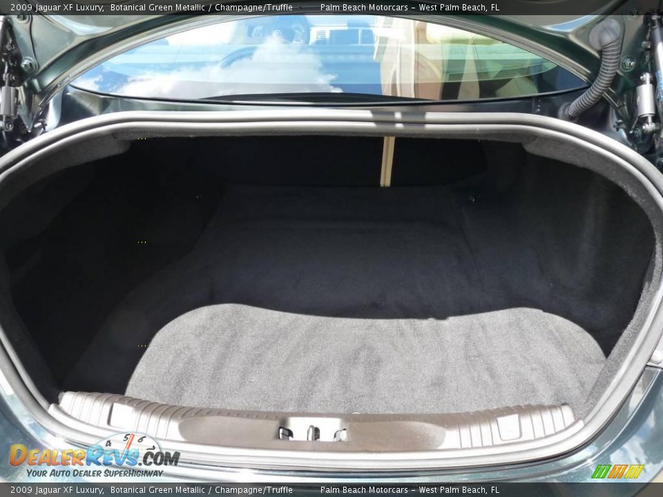 2009 Jaguar XF Luxury Botanical Green Metallic / Champagne/Truffle Photo #6