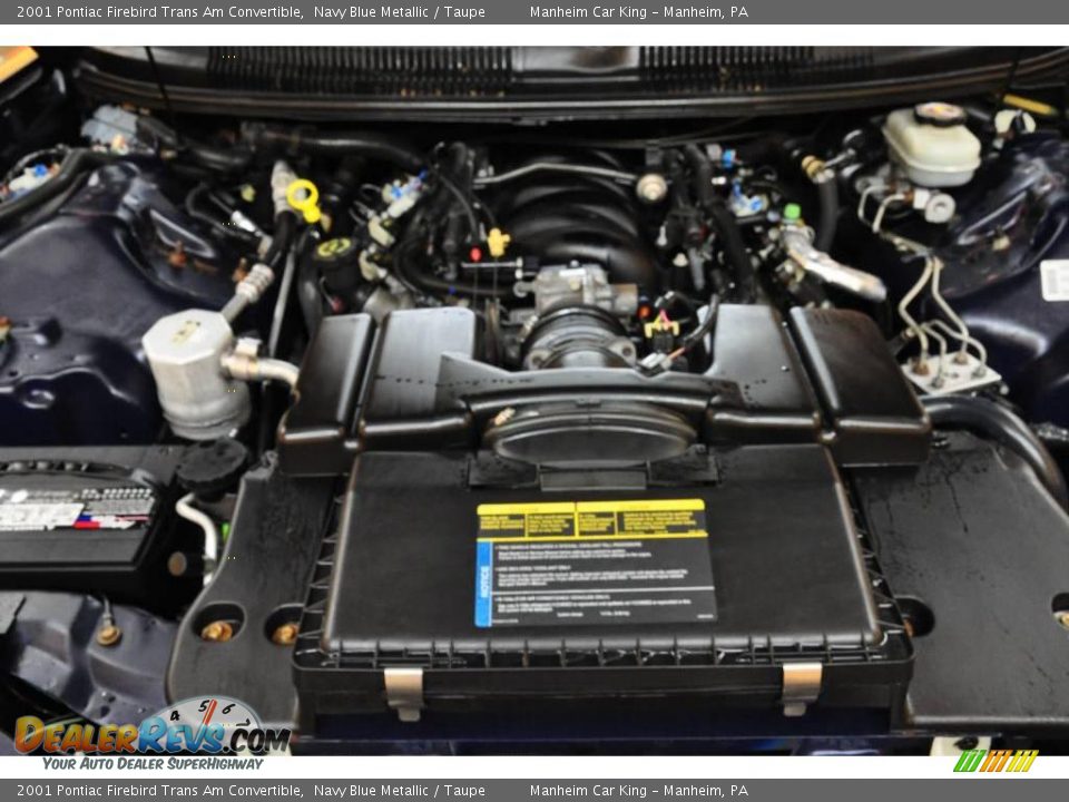 2001 Pontiac Firebird Trans Am Convertible Navy Blue Metallic / Taupe Photo #19