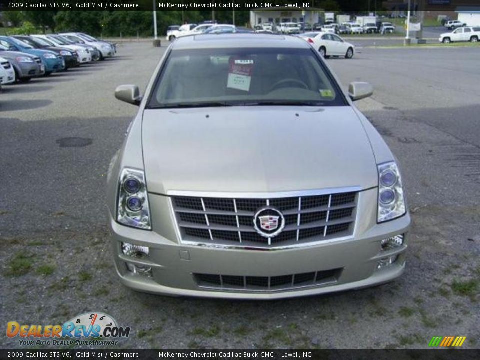2009 Cadillac STS V6 Gold Mist / Cashmere Photo #6