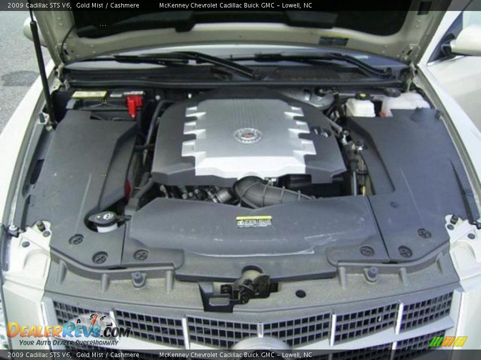 2009 Cadillac STS V6 Gold Mist / Cashmere Photo #15