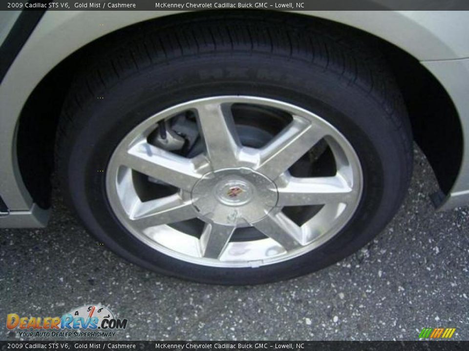 2009 Cadillac STS V6 Gold Mist / Cashmere Photo #16
