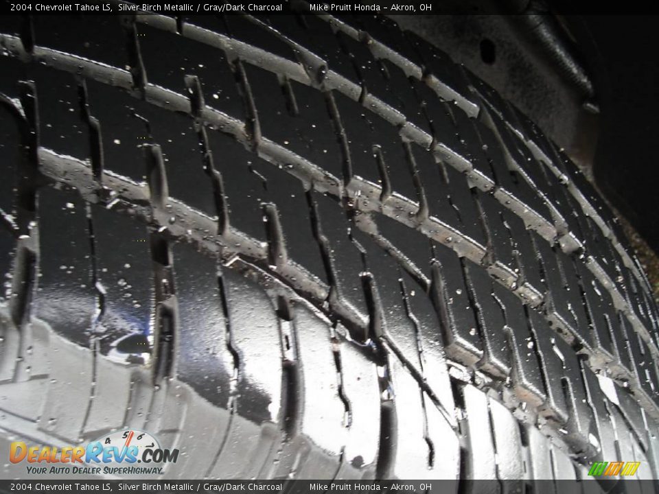 2004 Chevrolet Tahoe LS Silver Birch Metallic / Gray/Dark Charcoal Photo #10