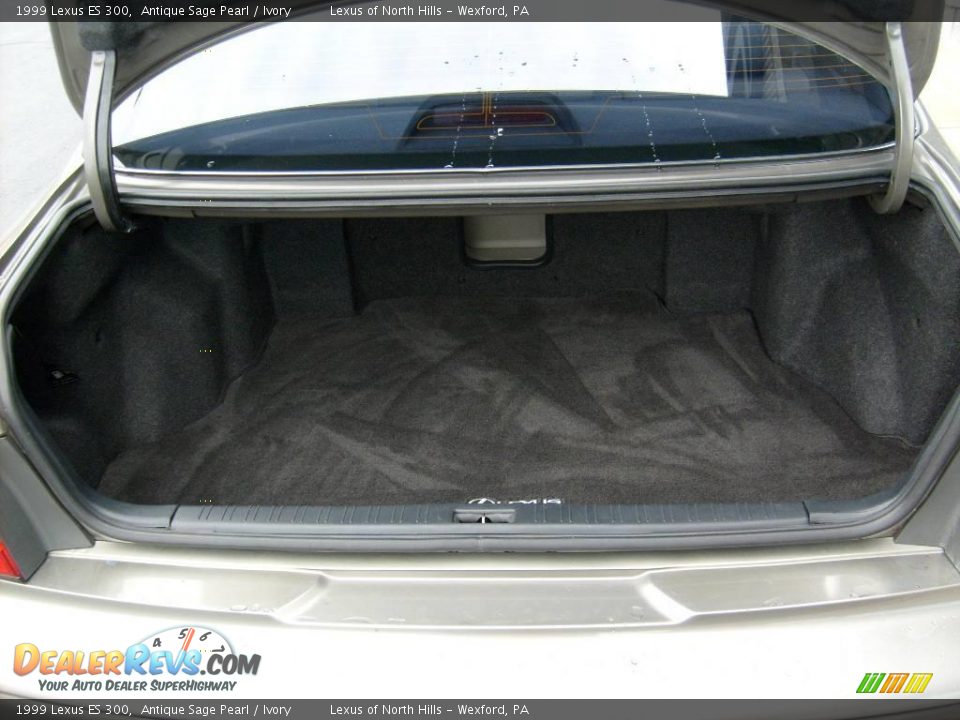 1999 Lexus ES 300 Antique Sage Pearl / Ivory Photo #15