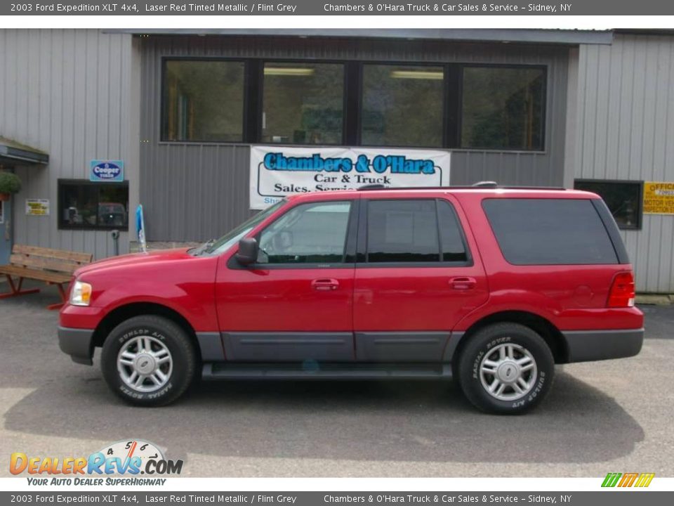 2003 Ford Expedition XLT 4x4 Laser Red Tinted Metallic / Flint Grey Photo #2