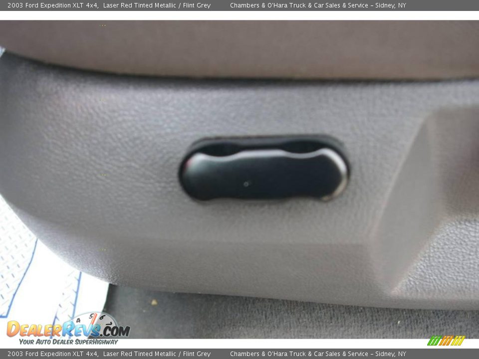 2003 Ford Expedition XLT 4x4 Laser Red Tinted Metallic / Flint Grey Photo #4