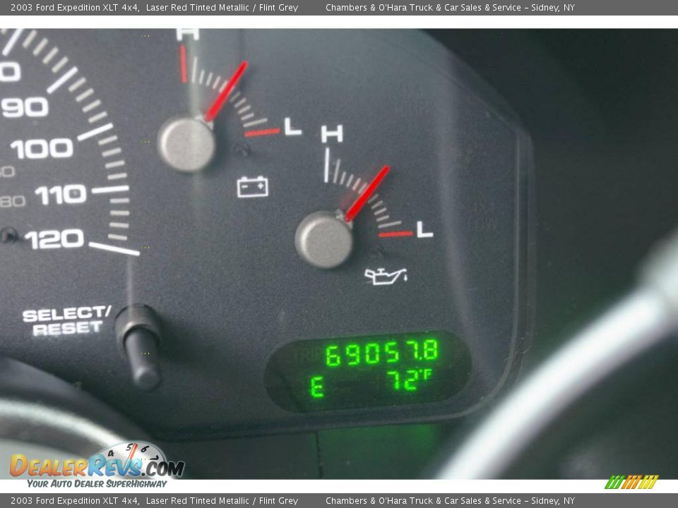 2003 Ford Expedition XLT 4x4 Laser Red Tinted Metallic / Flint Grey Photo #5