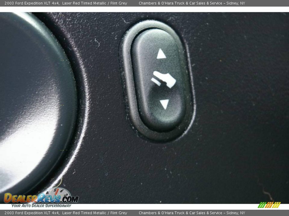 2003 Ford Expedition XLT 4x4 Laser Red Tinted Metallic / Flint Grey Photo #8