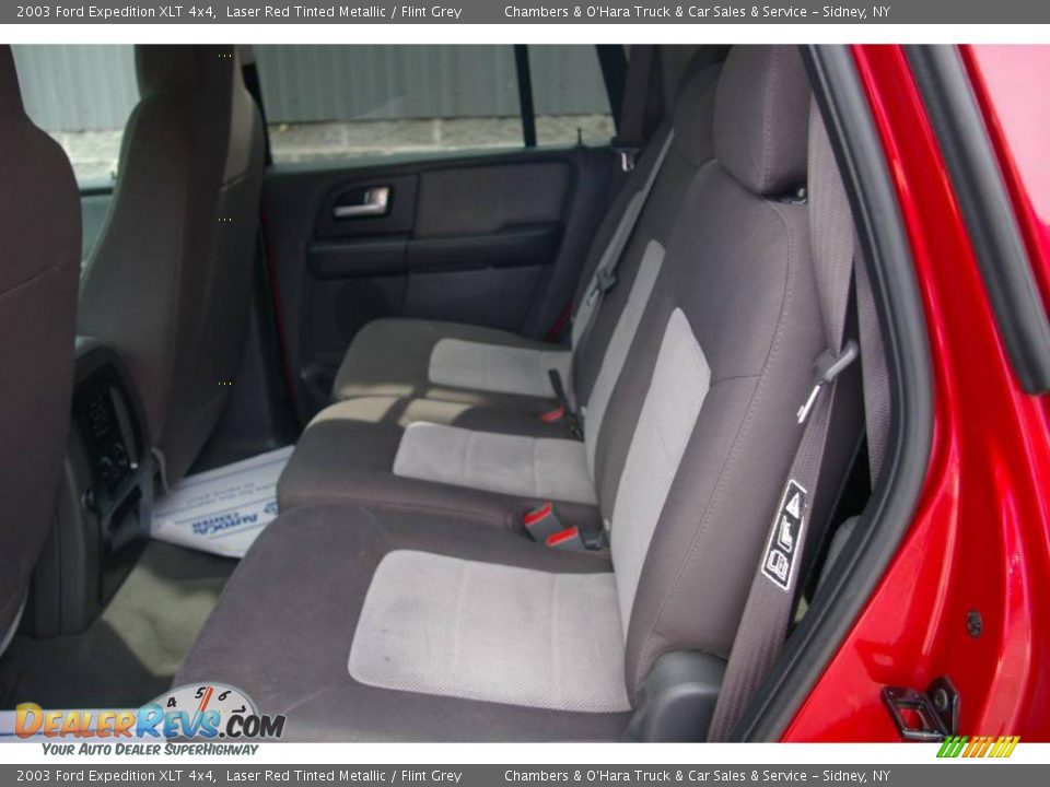 2003 Ford Expedition XLT 4x4 Laser Red Tinted Metallic / Flint Grey Photo #10