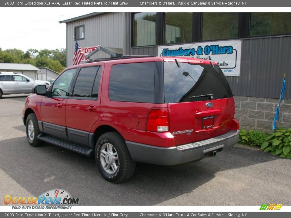 2003 Ford Expedition XLT 4x4 Laser Red Tinted Metallic / Flint Grey Photo #12