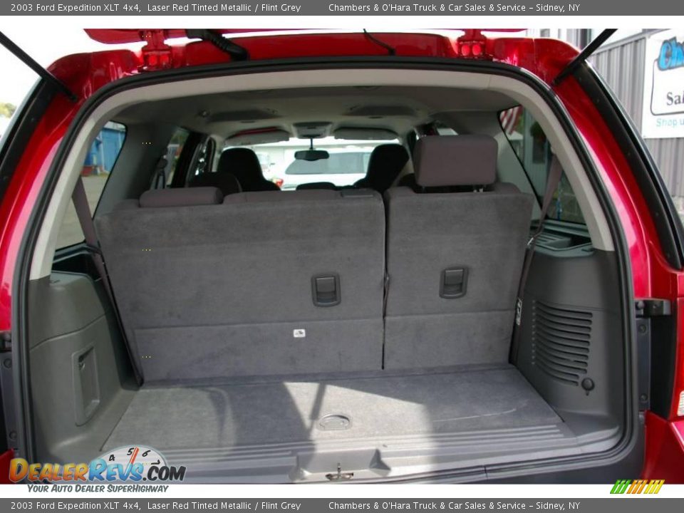 2003 Ford Expedition XLT 4x4 Laser Red Tinted Metallic / Flint Grey Photo #13
