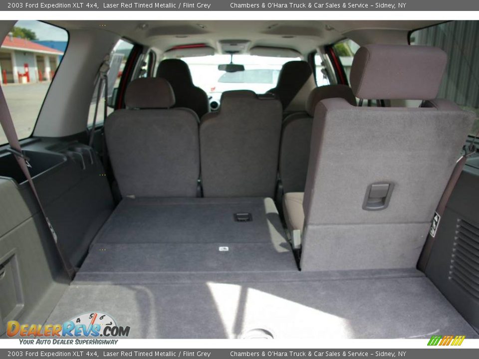 2003 Ford Expedition XLT 4x4 Laser Red Tinted Metallic / Flint Grey Photo #14
