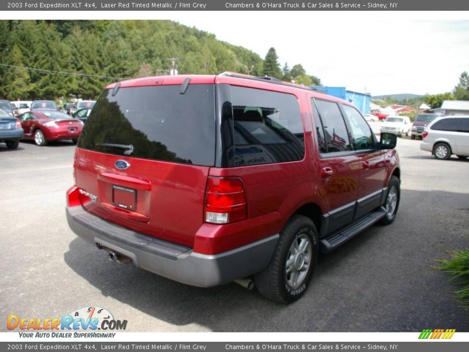 2003 Ford Expedition XLT 4x4 Laser Red Tinted Metallic / Flint Grey Photo #15