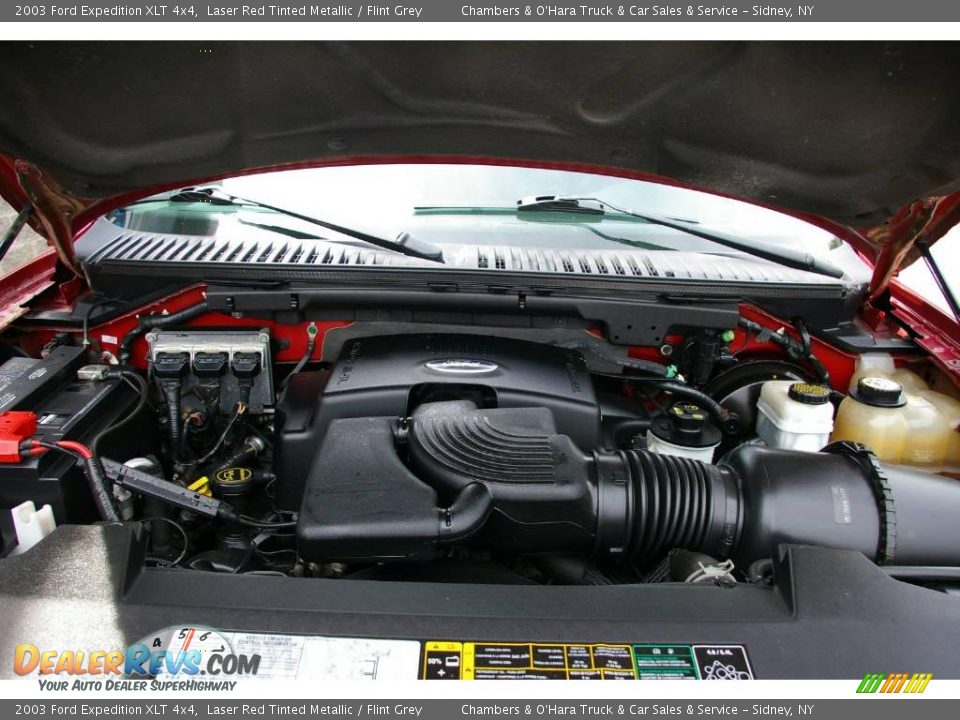 2003 Ford Expedition XLT 4x4 Laser Red Tinted Metallic / Flint Grey Photo #17