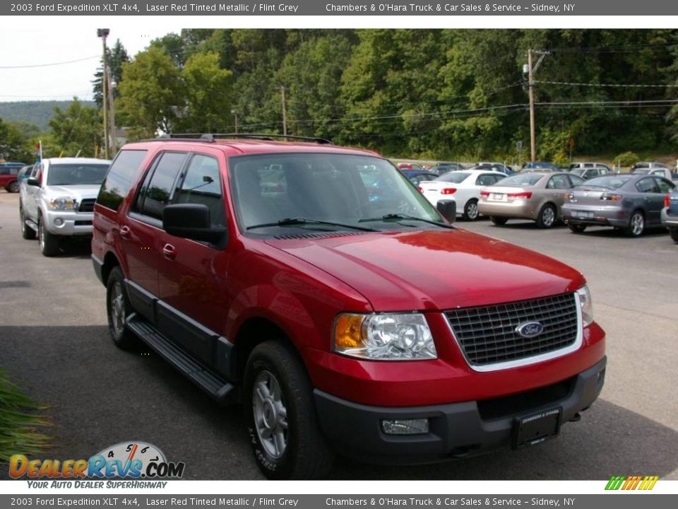 2003 Ford Expedition XLT 4x4 Laser Red Tinted Metallic / Flint Grey Photo #18