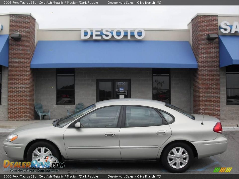 2005 Ford Taurus SEL Gold Ash Metallic / Medium/Dark Pebble Photo #1