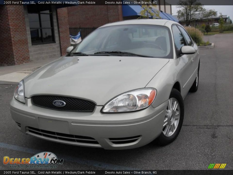 2005 Ford Taurus SEL Gold Ash Metallic / Medium/Dark Pebble Photo #2