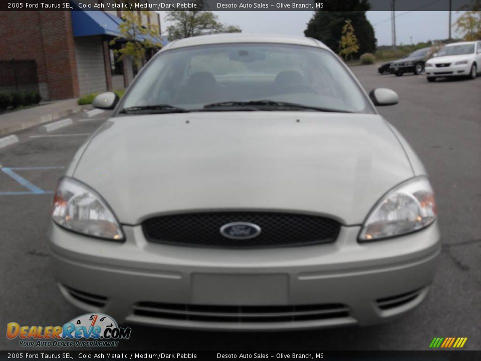 2005 Ford Taurus SEL Gold Ash Metallic / Medium/Dark Pebble Photo #3