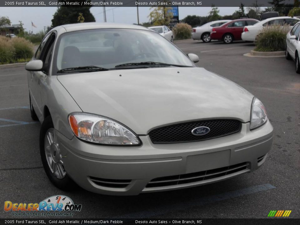 2005 Ford Taurus SEL Gold Ash Metallic / Medium/Dark Pebble Photo #4